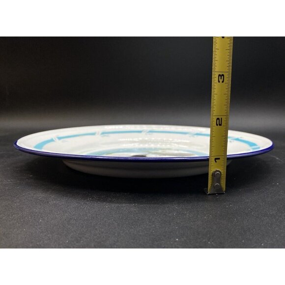 Bumper Harvest Panda Bamboo 9 1/4” Enamelware 602P- 01 Plate - Picture 5 of 6